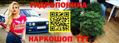 скорость Славгород