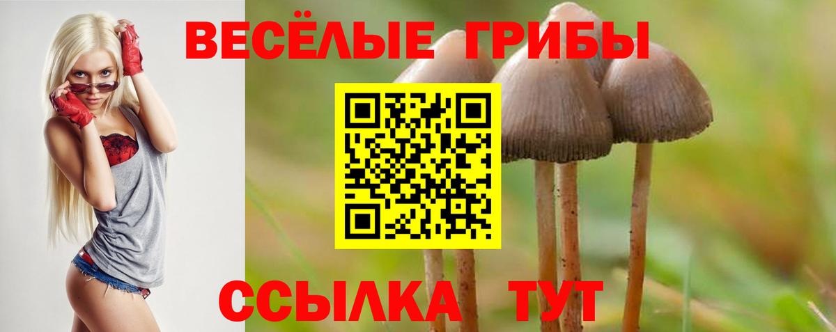 Псилоцибиновые грибы прущие грибы Норильск